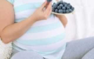 Черноплодная рябина при беременности