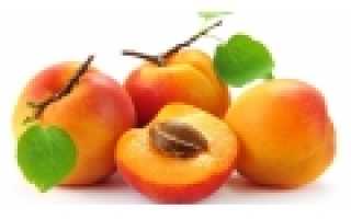 Персик и нектарин для детей